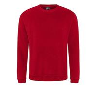 Pro RTX Pro Sweat Shirt up to Size 7XL, red, XXXXL