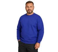 Pro RTX Pro Sweat Shirt up to Size 7XL, royal blue, XL