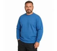 Pro RTX Pro Sweat Shirt up to Size 7XL, Sapphire blue, XL