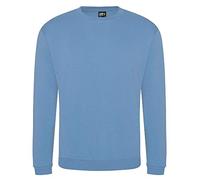Pro RTX Pro Sweat Shirt up to Size 7XL, Sky Blue, XXL