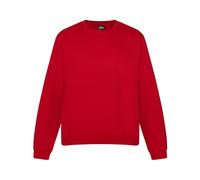 PRO RTX Pro Sweatshirt Modern Comfortable Uniform Leisure Jumper RX301