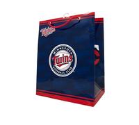 Pro Specialties Group MLB Gift Bag, One Size, Team Colors (Minnesota Twins)