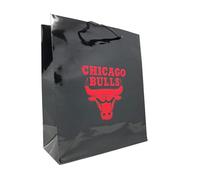 Pro Specialties Group NBA Gift Bag, One Size, Team Colors (Chicago Bulls)