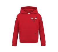 Pro Standard Big Boys NBA Chicago Bulls Classic Chenille Pull Over Hoodie Black L