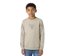 Pro Standard Big Boys NBA Chicago Bulls Neutral Crewneck Sweatshirt Taupe L