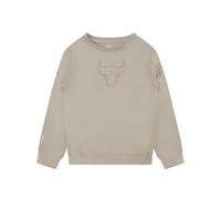 Pro Standard Big Boys NBA Chicago Bulls Neutral Crewneck Sweatshirt Taupe M