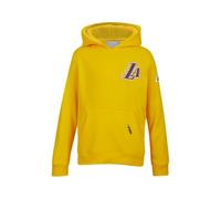 Pro Standard Kids & Teen's NBA Classic Chenille Bb Fleece Po Hoodie Hooded Sweatshirt