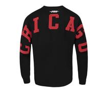 Pro Standard Mens NBA Chicago Bulls Wingspan Long Sleeve Tee Black S