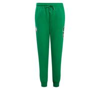 Pro Standard Womens NBA Boston Celtics Classic Chenille Sweatpant Kelly Green 2XL