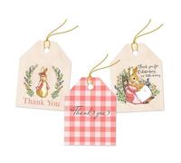 Pro Supply Global 24 Count of 2.5 Inch x 3 Inch Pre Strung Pink Peter Rabbit Gift Thank You Tag Assorted Printed Designs on Large Cardstock Gift Hang Tags - Ideal to Use on Bags