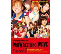 PRO WRESTLING WAVE Maniacs12 [マニアックス12] [DVD]
