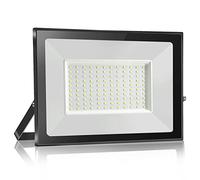 Probapro 100W Led Floodlight Outdoor 6000K Cold White