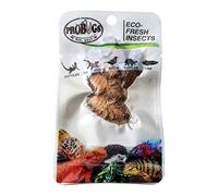 ProBugs Eco Fresh Insects Dubai Cockroaches 5pcs