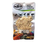 ProBugs Eco Fresh Insects Riceworms 15g