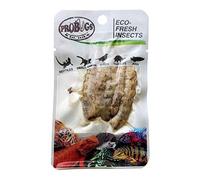 ProBugs Eco Fresh Insects Silkworms 5pcs