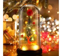 Probuk Christmas Tree Mini,Eternal Christmas Tree Lights Decoration in Glass Dome with LED Lights, Decorations for Home Bedroom, New Year,Christmas Day,Valentine's Day Gifts for Women