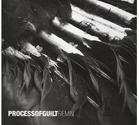 Process of Guilt - Faemin