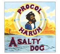 PROCOL HARUM - A SALTY DOG VINYL LP NEW