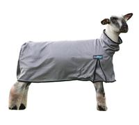 ProCool™ Sheep Blanket with Reflective Piping, Large, Gray