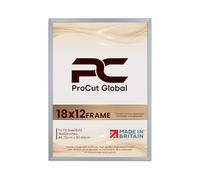 Procut Global 18x12 Silver Picture Frames - Classic Wooden Photo Frame with Shatterproof Perspex for Wall or Tabletop - Perfect for Posters, Certificates & Prints - Sizes & Colors Available