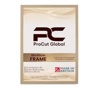 Procut Global 60x50CM Light Oak Picture Frames - Modern Photo Frame with Shatterproof Perspex for Wall or Tabletop - Ideal for Posters, Certificates & Print-Sizes A1 to A5 & 4x4 to 100x70cm Available