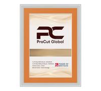 Procut Global Silver 70x50cm Picture Frame with Mount for 60x40cm | Engineered Wood with Clear Perspex Front for Wall Art Display - Ideal for Photos, Posters & Prints - Burnt Orange Mount