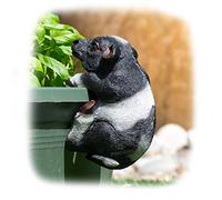 ProdBuy Home Plant Pot Hanging Garden Ornament (Black & White Cow)