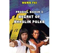 Prodigal Boxer 3 - Secret of the Shaolin Poles