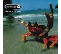 Prodigy - Fat Of The Land