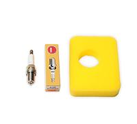 Product Pro Air Filter & Spark Plug for Briggs & Stratton series 450E 500E