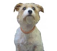 PROEXL Copper Magnetic Therapy Dog Collars Made to Measure in Solid Copper with Magnets (30 inches)