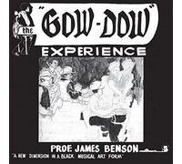PROF JAMES BENSON - Gow Dow Experience - Vinyl Record - K659z