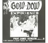PROF JAMES BENSON - The Gow Dow Experience - 180 GRAM VINYL LP + MP3