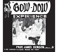 Prof. James Benson - The Gow-Dow Experience [VINYL]