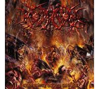 Profanation - Contorted Bodies in Pain