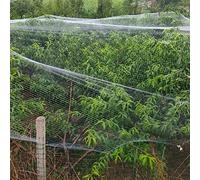Professal Bird Protect Net for Fruit Trees Versatile Garden Mesh 49x66ft Anti Deer Fence with Square Holes Ideal for Orchard and Garden Use and Effective