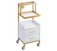 Professal Salon Sto Trolley - le Tool Cabinet with 2 Hair Dryer Holders & Sling nizer for Hair Sling Equint - Ideal for Barbershops & Beau Salons
