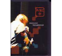Profession Troubadour