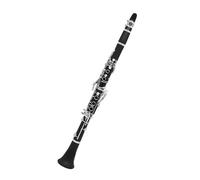 Professional 17 Key Ring 6 Key Clarinet Bb Black Silver Key Bakelite with Reed Cleaning Kit Beginners Clarinet
