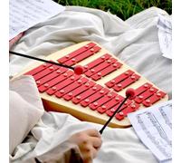 Professional 23-Note Xylophone, C5-A6 Tone Range Carillon, Adult Percussion Instrument, with Mallets and Storage Bag, Clear Sound Quality, for Adult, Beginners