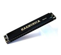 Professional 24 Hole Harmonica Metal Piano Suitable For Beginners With Piano Case(Black)