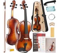 Professional 4/4 Full Size Violin