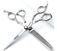 Professional 6/7/8 inch Hairdressing Scissors Japanese 440C Cobalt Alloy Steel Hair Shears for Barbers Cutting Thinning (6 inches, 2 Pieces)