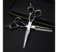 Professional 6 Hair Cutting Scissors, 440c Silver Barber Shears, Thinning & Hairdresser Scissors for Precision Haircuts, Upscale Styling Tools for Salons Set with Bag Q