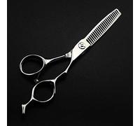 Professional 6 Inch Hair Cutting Scissors - Japan 440c Barber Shears for Precision Cutting & Thinning - Upscale Silver Hairdresser Tools 6 Inch Thinning