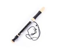 Professional 8 Hole ABS Treble Recorder Designed For Beginners (Woodwind Instrument) Recorder