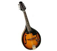 Professional 8-string Electro-acoustic Full Single Mandolin Instrument With ABS Hard Case Mandolin for Student