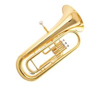 Professional Adult Practice Playing The Euphonium B-flat euphonium