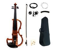 Professional Advanced Electric Violin 4/4 HandMade Art Violino With Parts Case/Bow Violin
