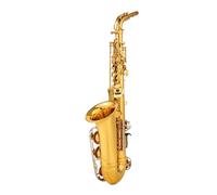 Professional Alto Drop E Saxophone Gold Alto Saxophone With Band Mouth Piece Accessories